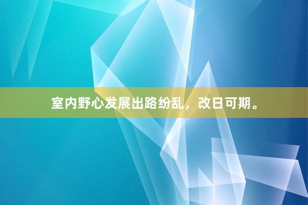 室内野心发展出路纷乱，改日可期。