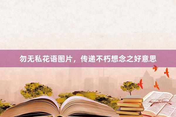 勿无私花语图片，传递不朽想念之好意思
