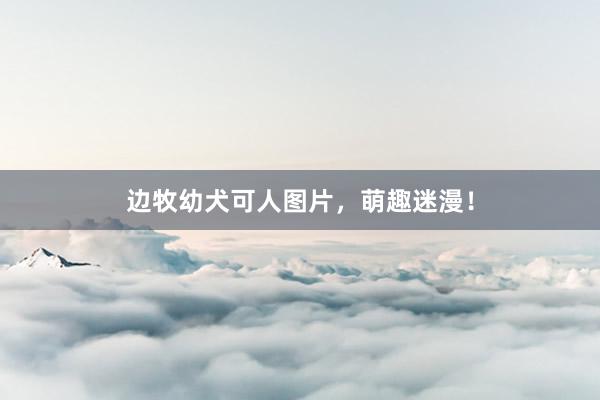 边牧幼犬可人图片，萌趣迷漫！
